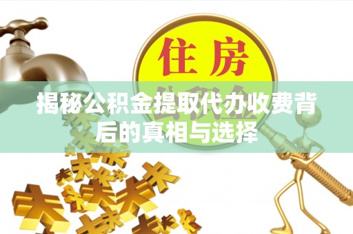 蓝山揭秘公积金提取代办收费背后的真相与选择