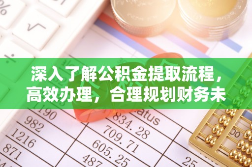 蓝山深入了解公积金提取流程，高效办理，合理规划财务未来