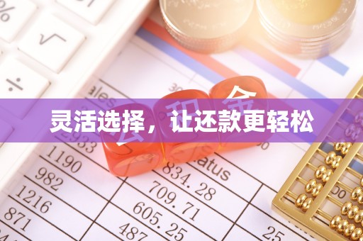 蓝山灵活选择，让还款更轻松