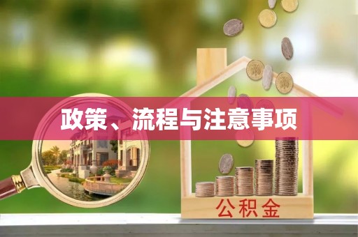 蓝山政策、流程与注意事项