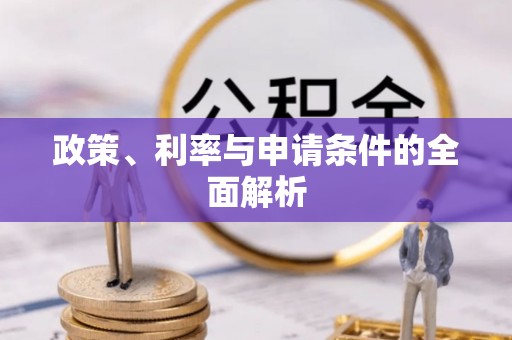 蓝山政策、利率与申请条件的全面解析
