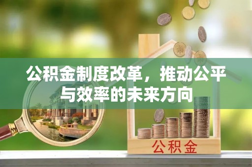 蓝山公积金制度改革，推动公平与效率的未来方向