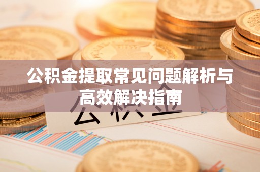 蓝山公积金提取常见问题解析与高效解决指南